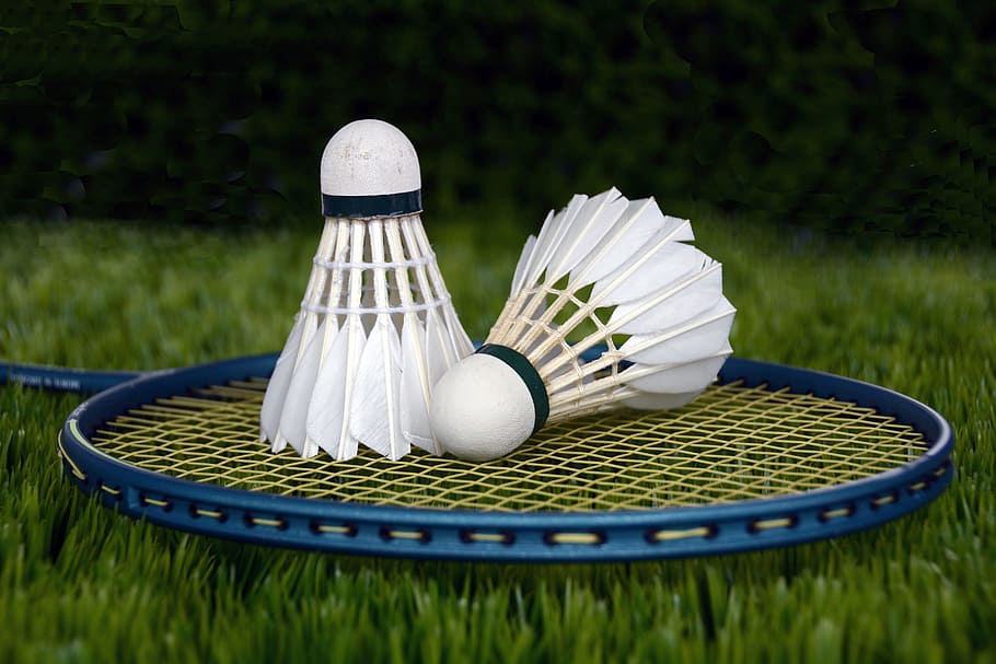 Badminton Image